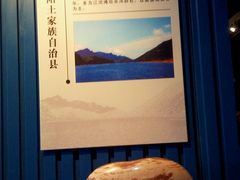 android_upload_pic-中华赏石园