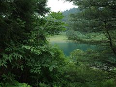 -武陵山森林公园