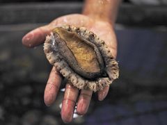 -赤山海景丽呈酒店