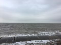 -东疆建设开发纪念公园