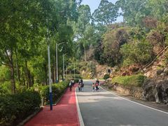 -火炉山森林公园