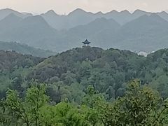 -贵州百里杜鹃风景名胜区