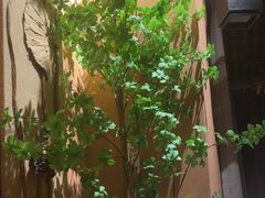 -泰·菩提树下[泰式按摩x精油SPAx肩颈头疗](新景店)