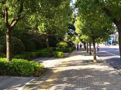 -南翔镇银翔湖公园
