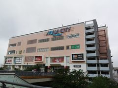 -台场海滨公园船码头