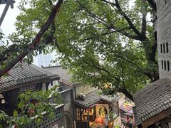 -重庆十八梯传统风貌区