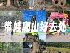 -上海佘山国家森林公园天马山园