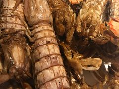 -日丰园海肠水饺·老字号大连海鲜(和平广场店)