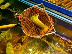 -辉记炭烧海鲜大排档·老字号(福田店)