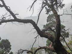 -上方山云水洞