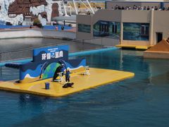 -秦皇岛乐岛海洋王国