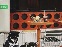 -CowCow其其·牛杂咖啡公司(六运店)