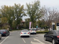 -思念果岭悦温泉