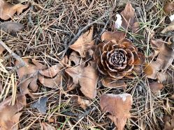 -Union瑜伽健康管理中心