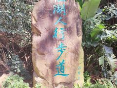 -深圳仙湖植物园