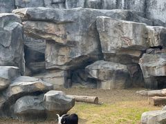 -武汉动物园