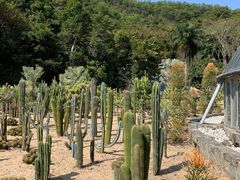 -深圳仙湖植物园