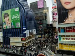 -蟹道乐(道顿堀本店)