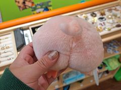 -TOPVTG奢侈品回收站(陕西南路店)