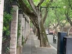 -玫瑰厅上海菜(兴国路店)