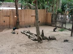 -清迈夜间动物园