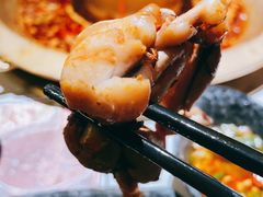 -哥老官重庆美蛙鱼头(松江地中海十八哥店)