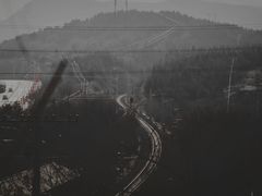 -白水寺森林公园
