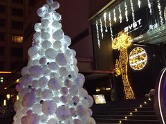 璞丽酒店-上海璞麗酒店