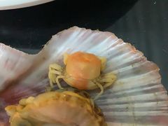 -大锅强·蒸海鲜青岛菜(吾悦广场店)