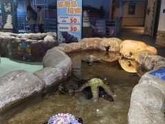 -大连圣亚海洋世界