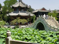 -莲池书院博物馆