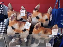 -大创十元超市(苏州泉屋店)