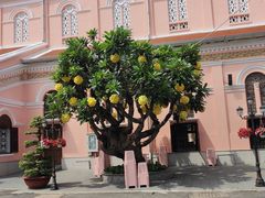 -耶稣圣心堂