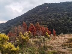 -广州市石门国家森林公园