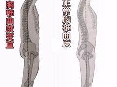 -锐动健身游泳(博地中心店)