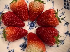 -爱丽格斯火锅(东岸国际店)