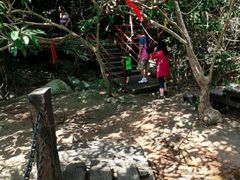 -呀诺达热带雨林