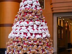 -喜来登大酒店健身中心