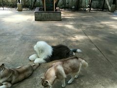 -TrueLove @ Neverland (Husky Cafe)