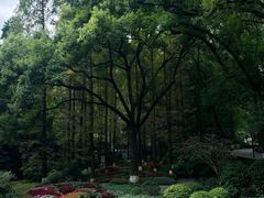 -忠山公园
