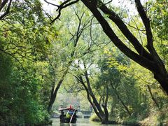 -西溪国家湿地公园