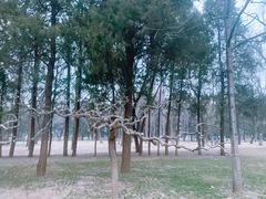 -清华大学-甲所餐厅