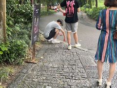 -法云安缦酒店