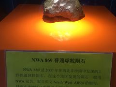 -紫金山天文台