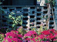 -大妙火锅·非物质文化遗产(东湖公园店)