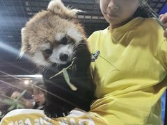 -秦皇岛新澳海底世界