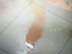 盛京一禾-盛京一禾