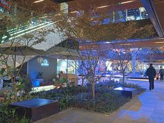 -瑞虹新天地月亮湾