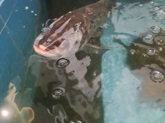 -亭下湖饭店(康岭店)