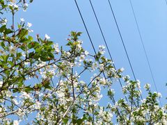 -西北湖绿化广场